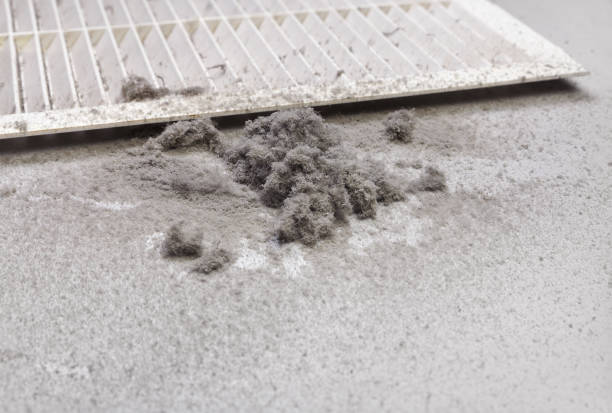 Best HVAC Air Duct Cleaning  in Flowing Wells, AZ