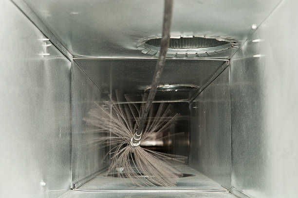 Air Duct Mold Removal in Flowing Wells, AZ